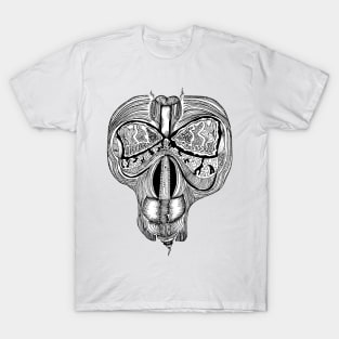 Skull Fly T-Shirt